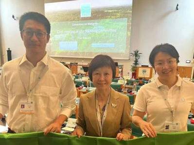 红树林基金会联合创始人、副理事长孙莉莉：让深圳去讲述人与自然和谐共生的中国故事