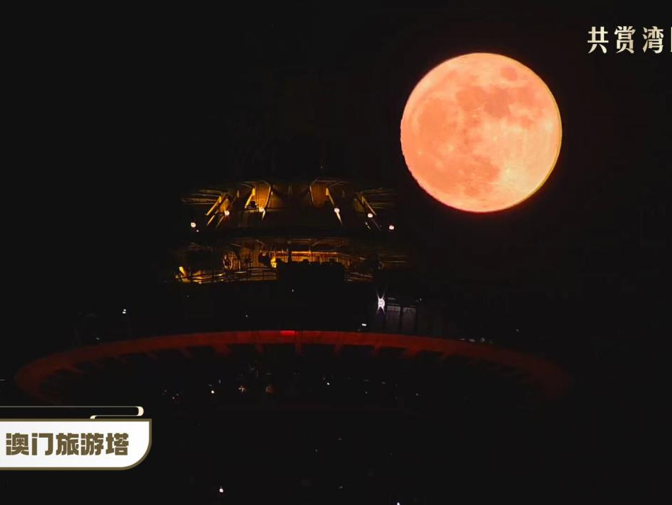 看！大湾区的月亮