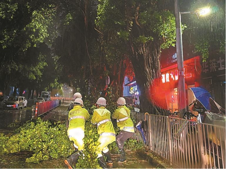 连夜出动 冒雨清理 城管绿化部门周末连轴处理倒伏树木保障通行