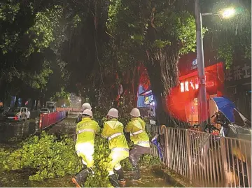 连夜出动 冒雨清理 城管绿化部门周末连轴处理倒伏树木保障通行