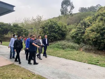马田街道以“三个坚持”推动林长制工作走深走实