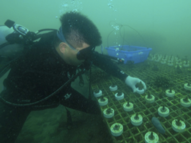 #红动鹏城#绿水青山就是金山银山，以点滴之力保护环境