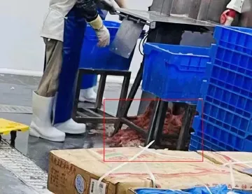 家长参观学校配餐公司，吐槽“一片鲜肉都没有”！涉事公司深夜回应