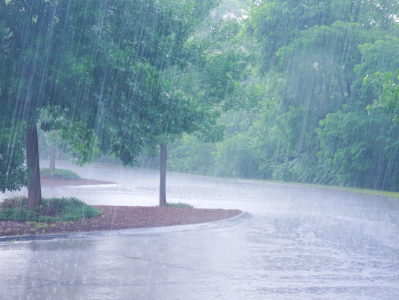 暴雨持续影响深圳，罗湖区停工一天  