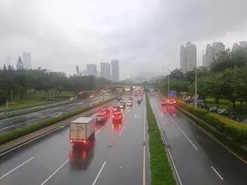 深圳各区交通有序恢复中