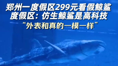郑州一度假区299元看假鲸鲨 度假区：仿生鲸鲨是高科技 “外表和真的一模一样”
