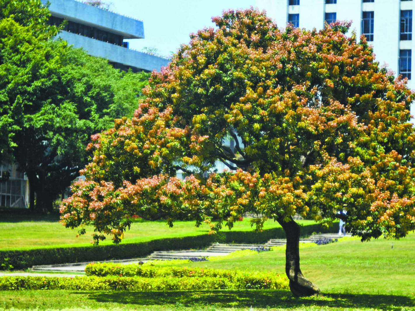 最新ESI高校排行榜公布！深圳大学跻身全国“50强”