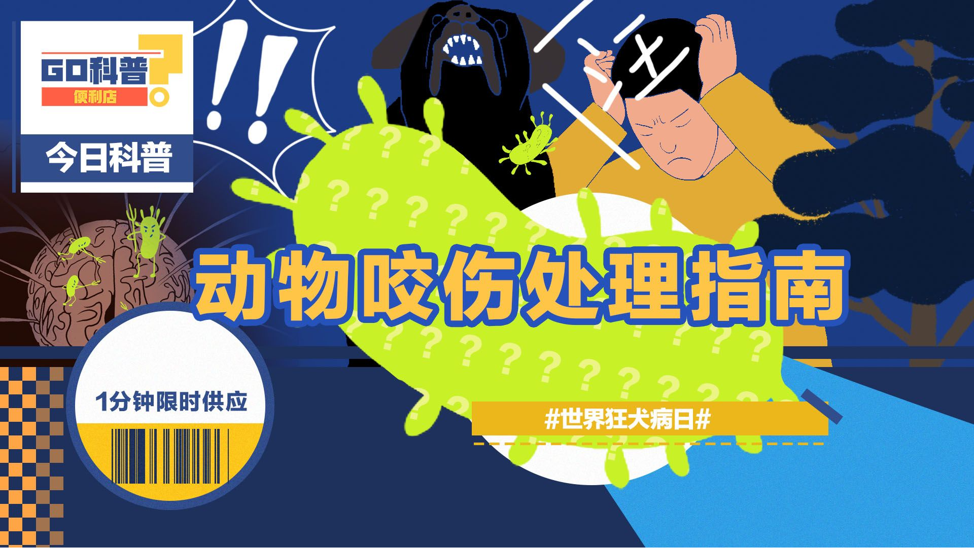 世界狂犬病日｜被动物咬伤怎么处理