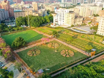 在深圳光明，志愿者开荒种出13亩“幸福菜园”