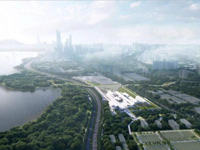 专访：深圳有能力高质量建设运行“国际红树林中心”