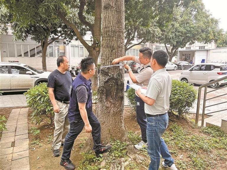 全国首个“树木驿站”在宝安区正式运行 ，“存、储、取”一站式盘活城市绿化资源