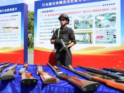 广东省公安机关集中销毁非法枪爆物品