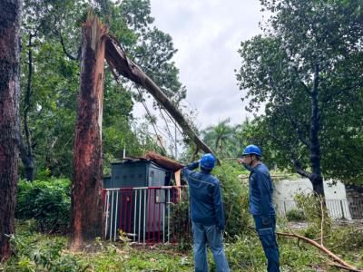 台风过后，南山供电局工作人员争分夺秒清理树障