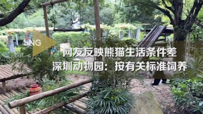 网帖称熊猫生活条件差，深圳野生动物园回复了