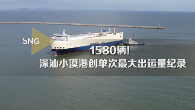 深汕小漠国际物流港创单次最大出运量纪录