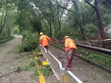 “苏拉”成为“山竹”后影响深圳最强台风