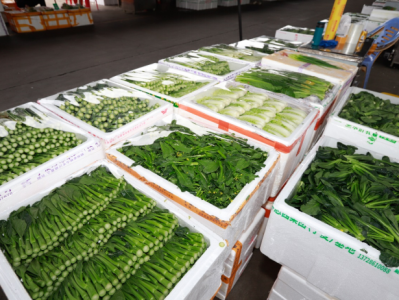 蔬菜来货量超6000吨！深圳海吉星全力守护市民“菜篮子”  