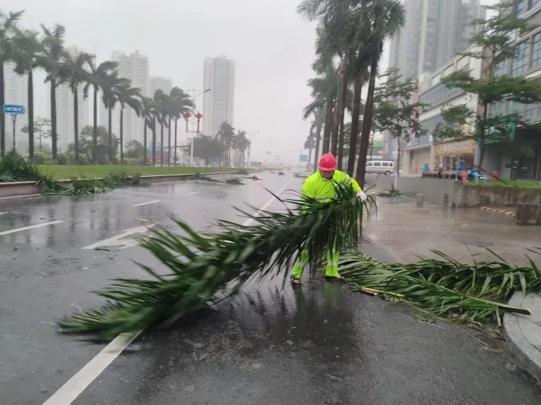 珠海市场开门、交通恢复中！台风后，他们争分夺秒