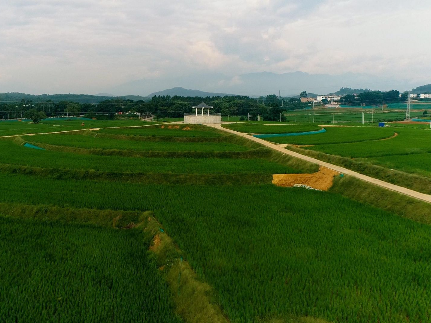 岭南新“丰”景 看广东农业如何实现高质量发展