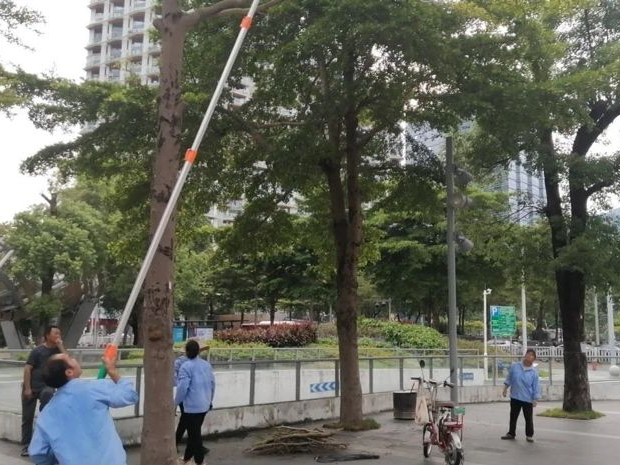 战“苏拉” | 盐田区城市管理和综合执法局：全面反复排查，及时清除隐患