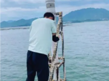 深圳气象人众志成城迎战台风“苏拉”