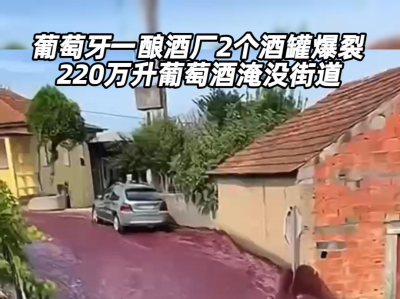 葡萄牙一酿酒厂2个酒罐爆裂 220万升葡萄酒淹没街道
