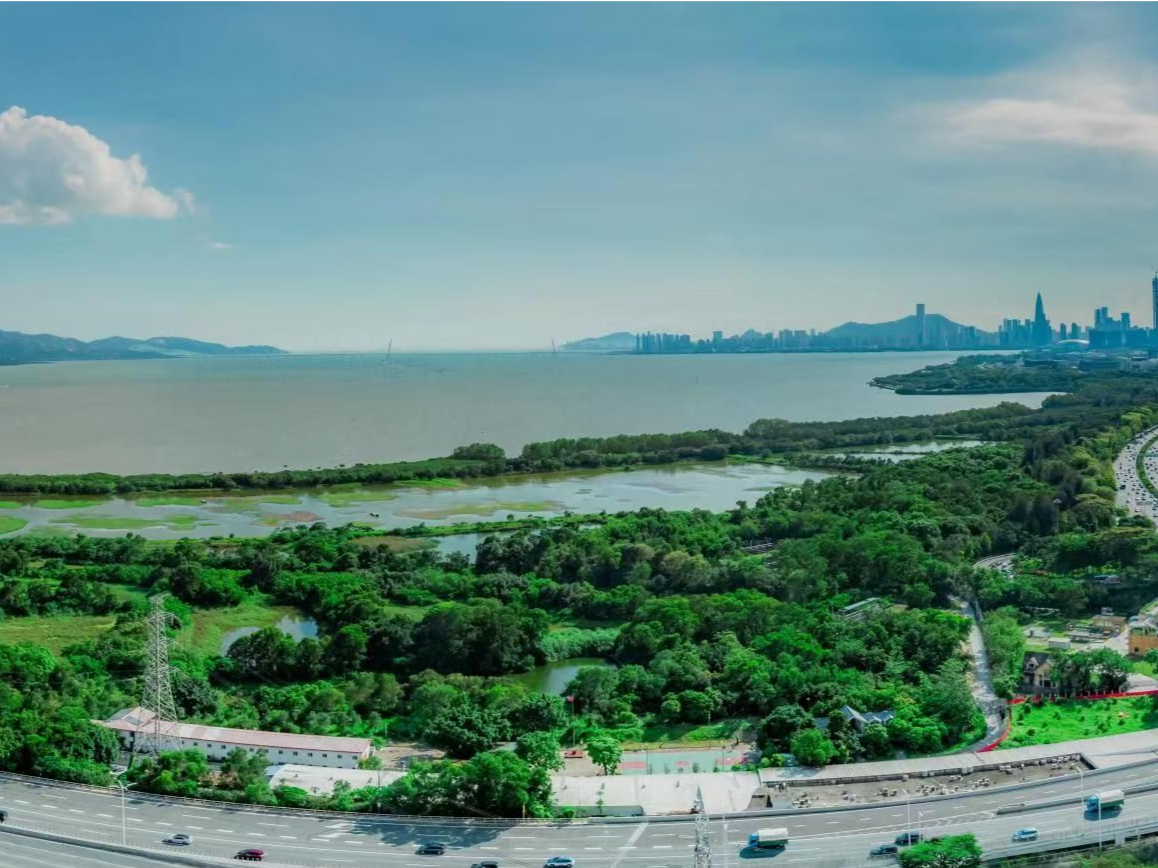 广东出台行动方案推动绿美保护地建设，深圳多个项目列入重点任务