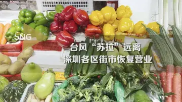 深圳市各区街市已恢复正常营业