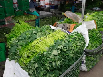 “食”刻守护市民“舌尖上的安全” 记者假期实地探访食安流通监管链