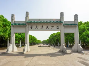 武汉大学涉性骚扰本科生被记过，责罚是否相当？ 
