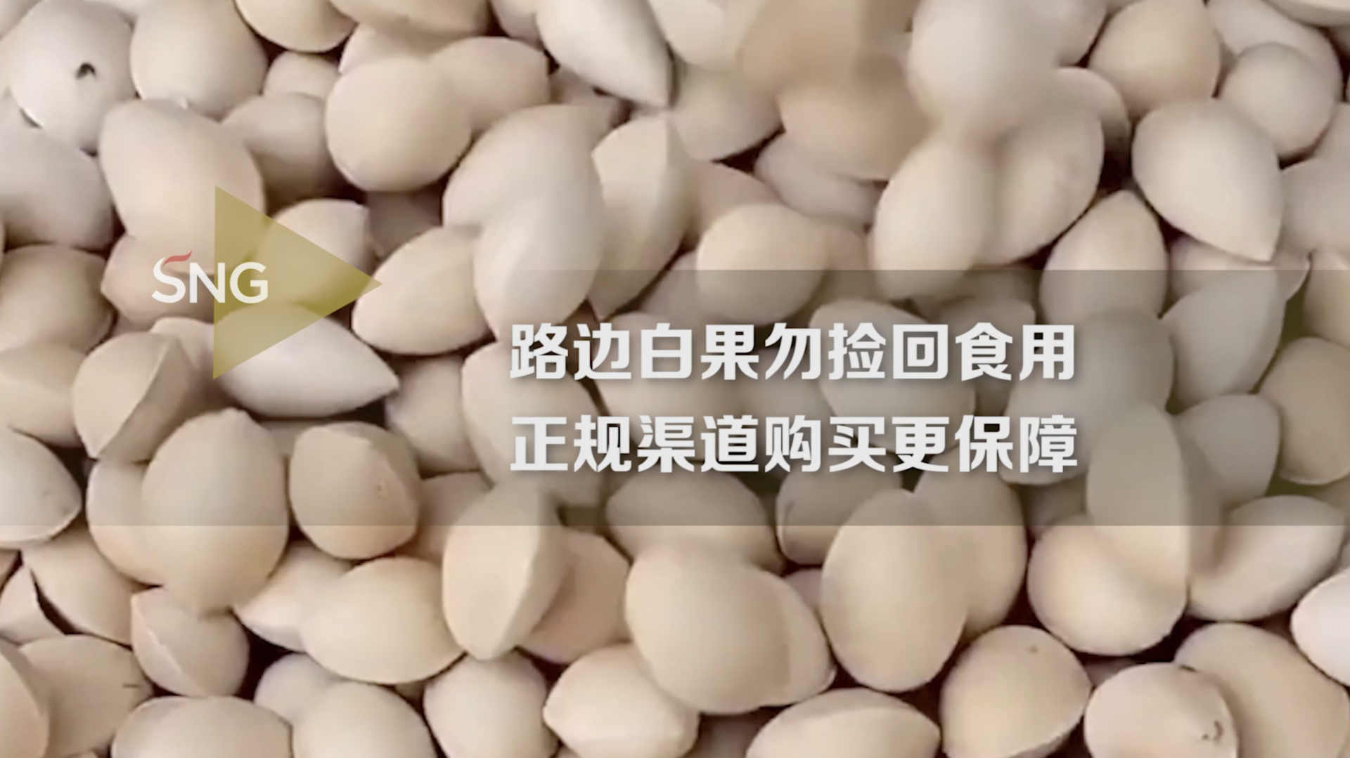 秋季进食银杏果需谨慎，专家提醒：路边白果不要捡