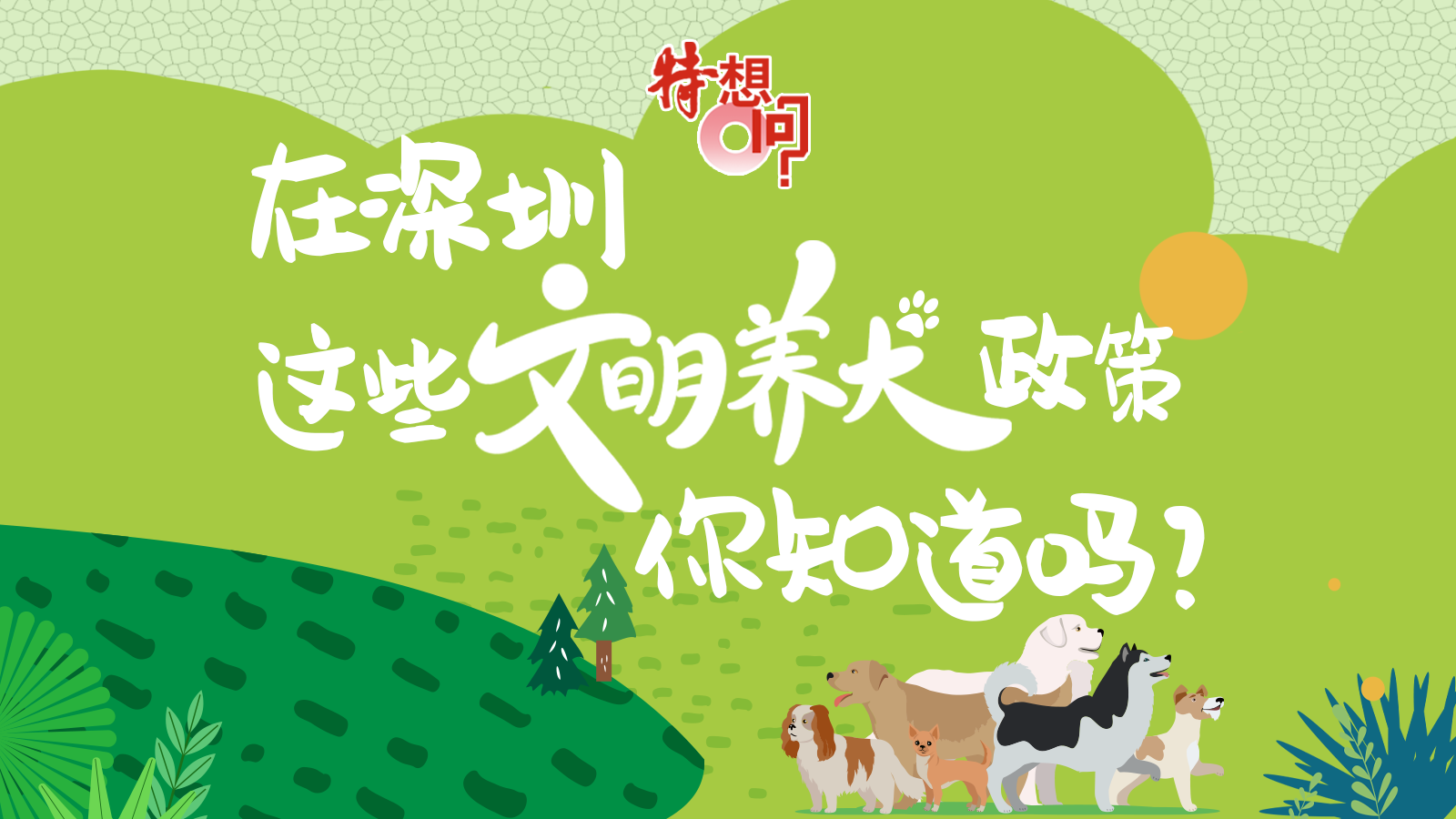 特想问｜在深圳，这些文明养犬政策，你知道吗？ 