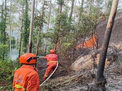 重阳节谨防火灾风险，深圳发布近期两起森林火情警示案例