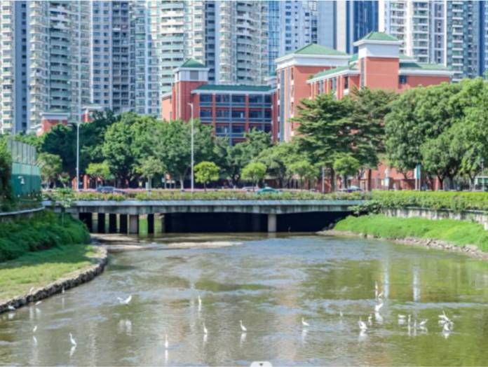 绘就幸福“水”画卷 今年广州已建设碧道148公里