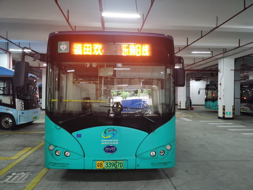 ​助力新消费！“福田欢乐购”3条免费口岸接驳线路开通啦