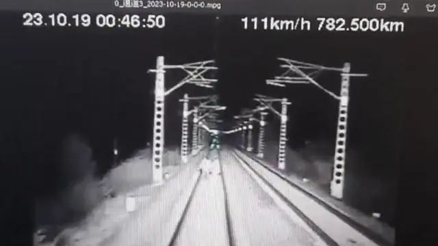 两人翻越铁路防护网，与火车相撞身亡！记录仪拍下惊险一幕……