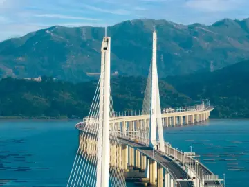 双向奔赴共铸“新精彩”！交通一体化发展让大湾区出行“说走就走”