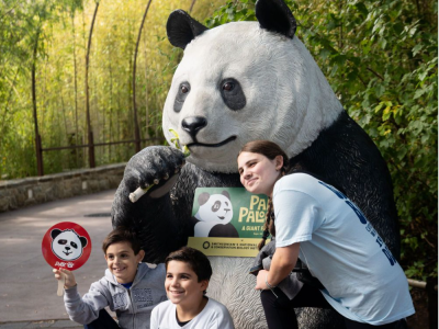 大熊猫“美香”一家要回家了！美国华盛顿动物园举行“告别派对”