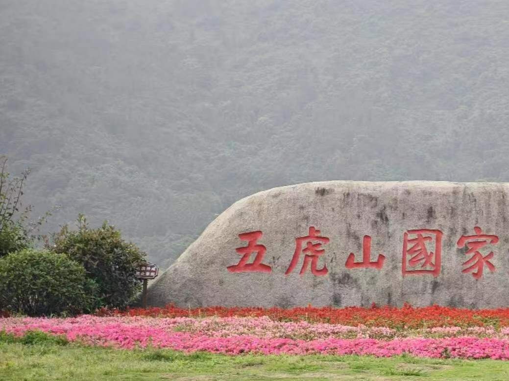 深化集体林权制度改革方案出炉，专家：对促进乡村振兴等有重大意义