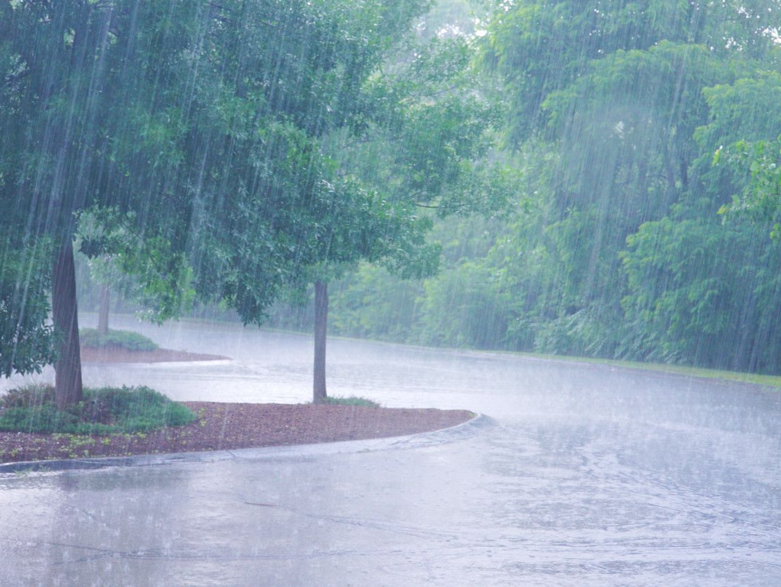 海南强降雨仍持续 东北华北暖意升级 