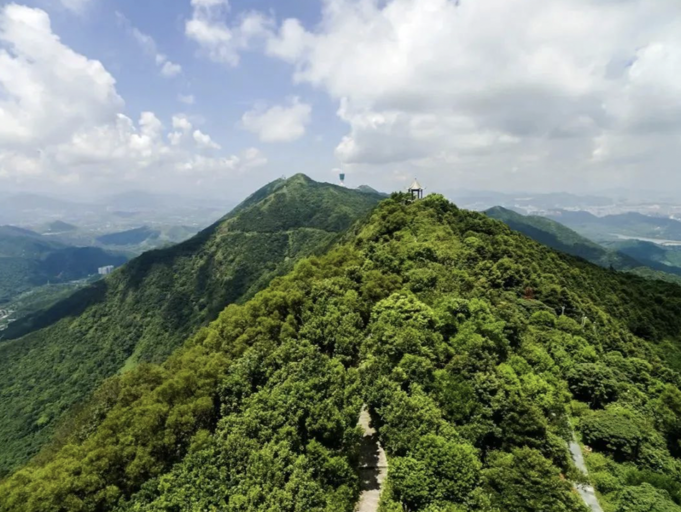 重阳登高，深圳有这些好去处！地铁可达→