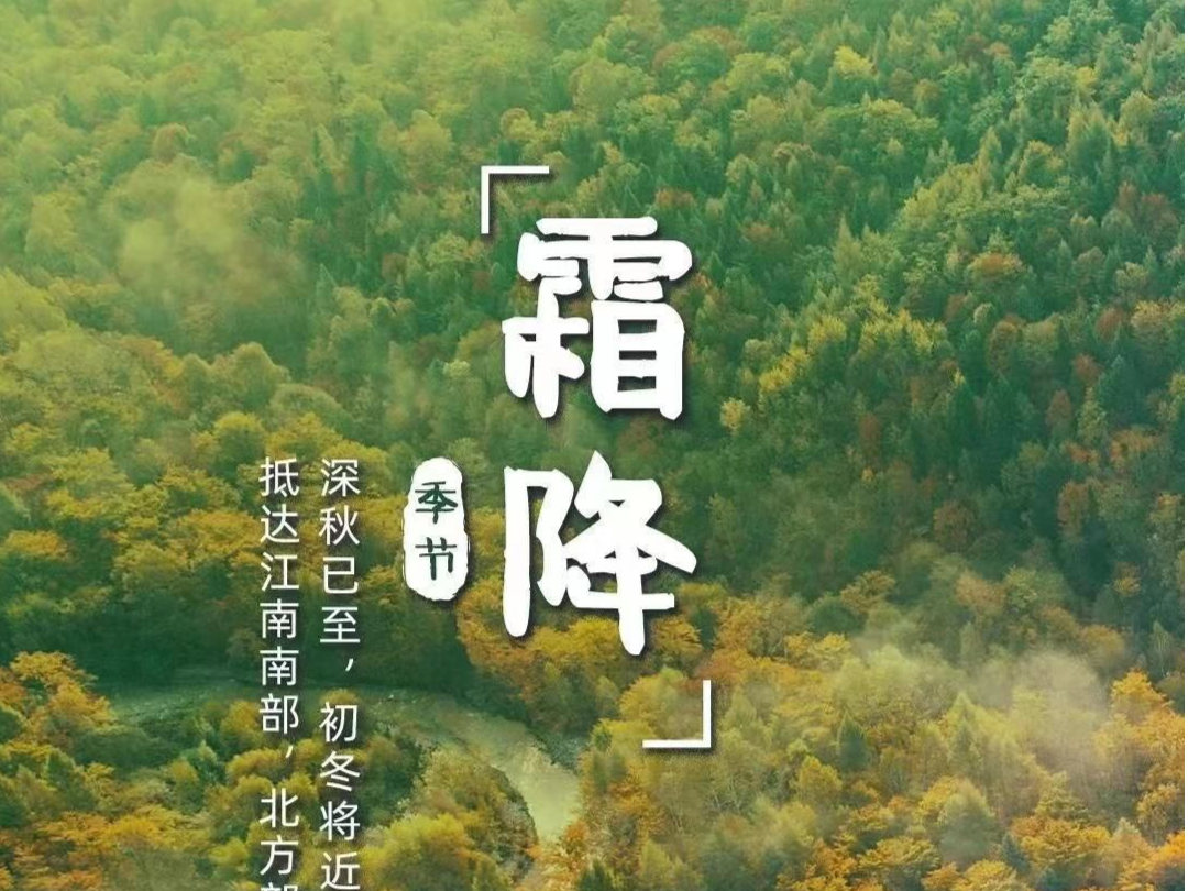 霜降节气深圳“暖如初夏”！温度升湿度降，未来三天晴天少雨，适合晾晒……