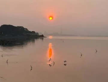 高温黄色预警生效中！深圳今明两天热晒燥，台风“小犬”遇上返程高峰……