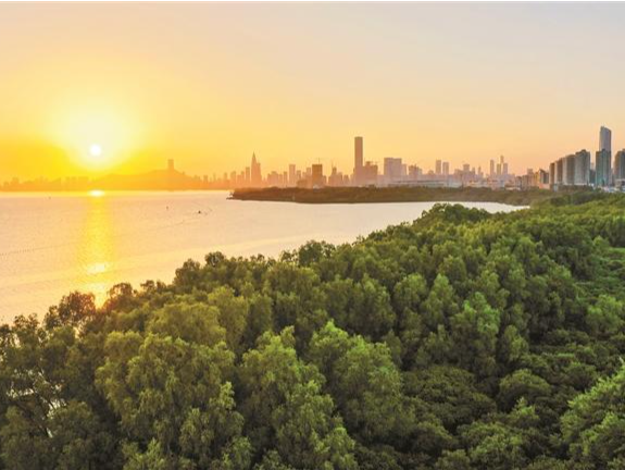 水土保持全市域“天地一体化”监督 目标责任制考核深圳连续四年居全省第一