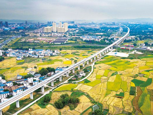 深圳市农业科技金融“百县行”走进赣州与河源