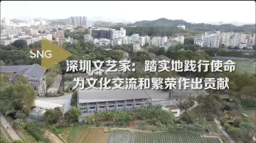 深圳文艺家：践行使命，为文化交流和繁荣作出贡献
