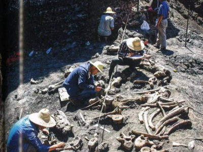研究：600多万年前“巨型竹鼠”现身云南水塘坝，为至今发现的此类最早化石