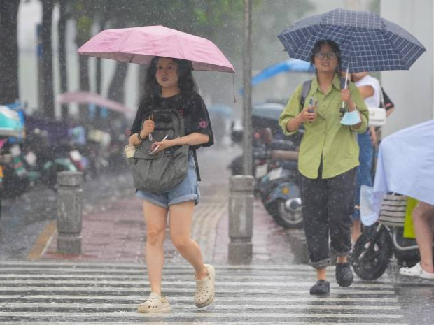 台风黄色预警！“小犬”将趋向广东东部近海