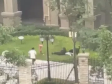 恶犬咬伤人，主人是否涉刑责？物业公司要连带吗？法律专家解读