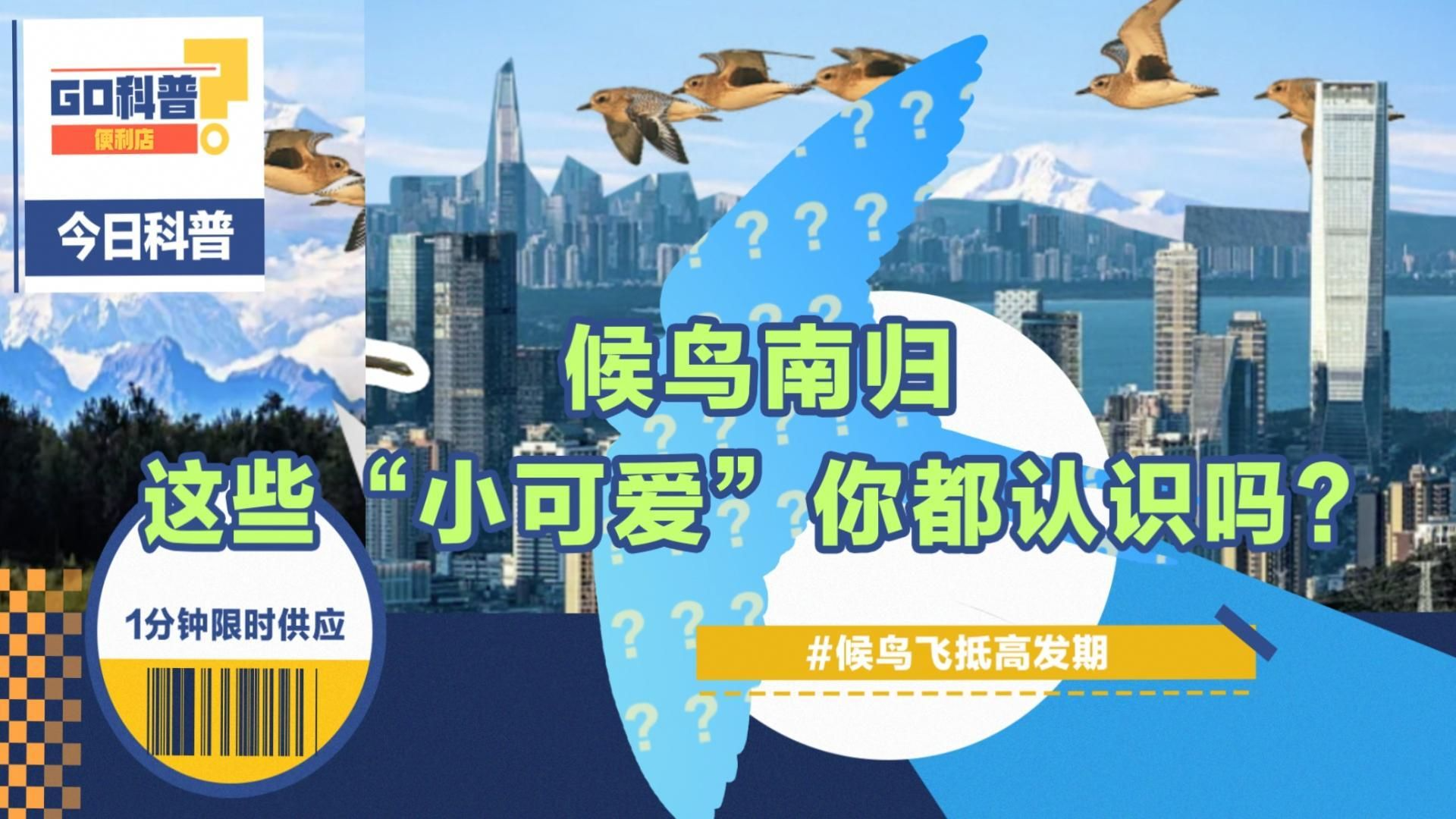 GO科普｜ 候鸟南归，深圳第一批“小可爱”你都认识吗？